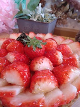 松阪農業公園ベルファームに投稿された画像（2023/1/21）