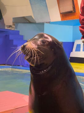 ゼロ距離水族館 伊勢シーパラダイスに投稿された画像（2023/1/21）