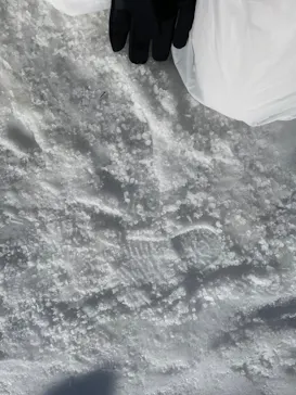 ひらかたパークに投稿された画像（2023/1/21）