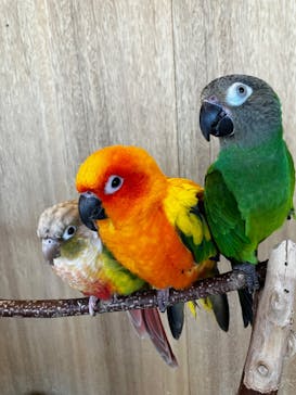 Moff animal cafe 小田原ダイナシティ店に投稿された画像（2023/1/21）