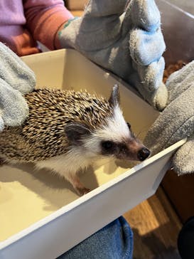 Moff animal cafe 小田原ダイナシティ店に投稿された画像（2023/1/21）