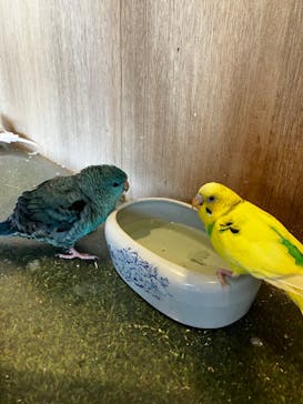 Moff animal cafe 小田原ダイナシティ店に投稿された画像（2023/1/21）