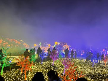 伊豆ぐらんぱる公園に投稿された画像（2023/1/21）