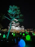 福山城400年博-FUKUYAMA CASTLE EXPO 2022- RCC開局70年 「チームラボ 福山城 光の祭」に投稿された画像（2023/1/22）
