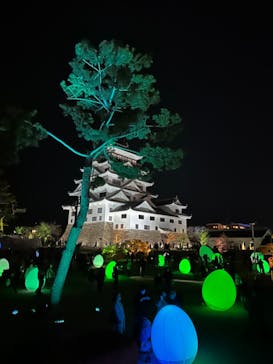 福山城400年博-FUKUYAMA CASTLE EXPO 2022- RCC開局70年 「チームラボ 福山城 光の祭」に投稿された画像（2023/1/21）