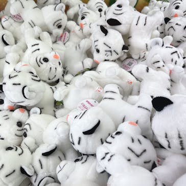 東武動物公園に投稿された画像（2023/1/21）