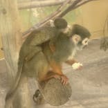 東武動物公園に投稿された画像（2023/1/22）