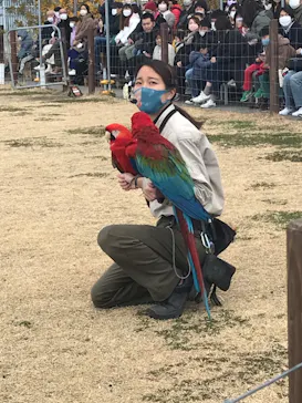 神戸どうぶつ王国に投稿された画像（2023/1/21）