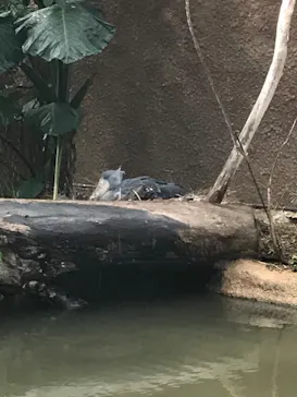 神戸どうぶつ王国に投稿された画像（2023/1/21）