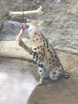 神戸どうぶつ王国に投稿された画像（2023/1/21）