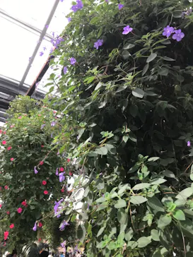 神戸どうぶつ王国に投稿された画像（2023/1/21）