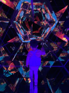 チームラボフォレスト 福岡 - SBI証券に投稿された画像（2023/1/21）