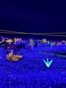 伊豆ぐらんぱる公園に投稿された画像（2023/1/22）