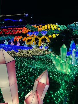 伊豆ぐらんぱる公園に投稿された画像（2023/1/22）