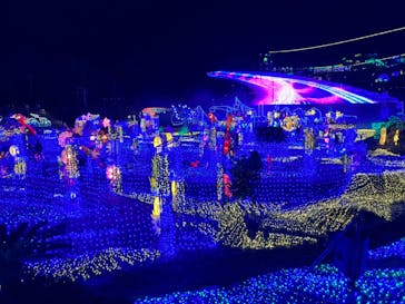 伊豆ぐらんぱる公園に投稿された画像（2023/1/22）