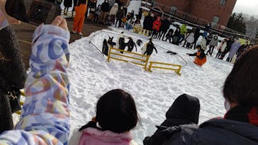 登別マリンパークニクスに投稿された画像（2023/1/22）