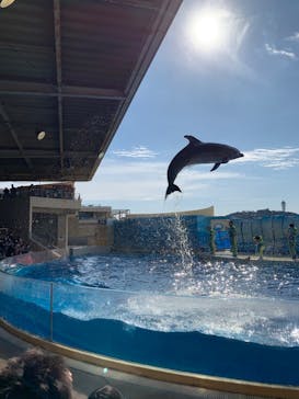 新江ノ島水族館に投稿された画像（2023/1/22）