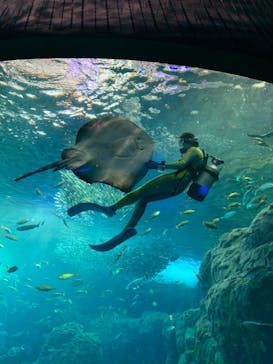 新江ノ島水族館に投稿された画像（2023/1/22）