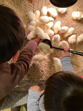 Moff animal cafe イオンモール幕張新都心店に投稿された画像（2023/1/22）