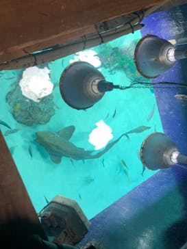 サンシャイン水族館に投稿された画像（2023/1/22）