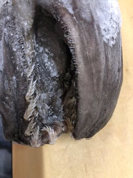 サンシャイン水族館に投稿された画像（2023/1/22）