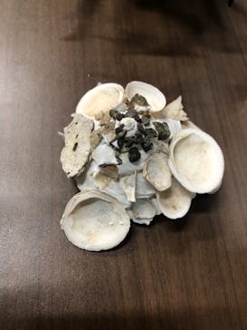 サンシャイン水族館に投稿された画像（2023/1/22）