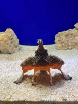 サンシャイン水族館に投稿された画像（2023/1/22）