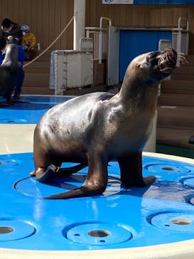 サンシャイン水族館に投稿された画像（2023/1/22）