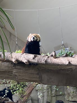 那須どうぶつ王国に投稿された画像（2023/1/22）