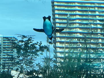 サンシャイン水族館に投稿された画像（2023/1/22）