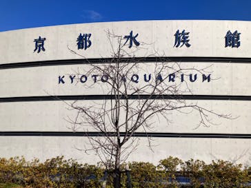 京都水族館に投稿された画像（2023/1/22）
