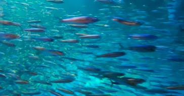 登別マリンパークニクスに投稿された画像（2023/1/22）