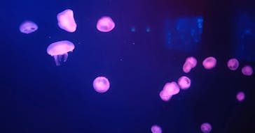 登別マリンパークニクスに投稿された画像（2023/1/22）