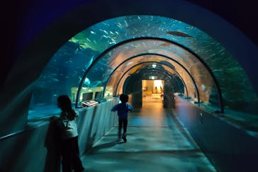 登別マリンパークニクスに投稿された画像（2023/1/22）