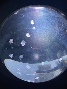 サンシャイン水族館に投稿された画像（2023/1/22）