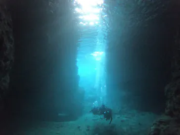 武藤潜水に投稿された画像（2023/1/22）