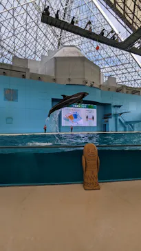 横浜・八景島シーパラダイスに投稿された画像（2023/1/22）