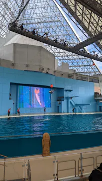 横浜・八景島シーパラダイスに投稿された画像（2023/1/22）