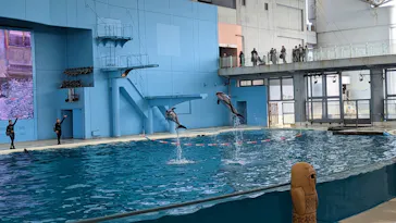 横浜・八景島シーパラダイスに投稿された画像（2023/1/22）