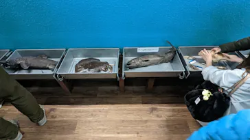 横浜・八景島シーパラダイスに投稿された画像（2023/1/22）