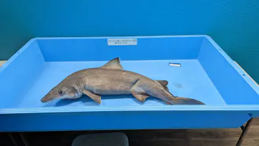 横浜・八景島シーパラダイスに投稿された画像（2023/1/22）