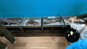 横浜・八景島シーパラダイスに投稿された画像（2023/1/22）