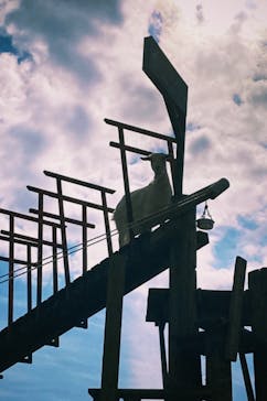 まかいの牧場に投稿された画像（2023/1/22）