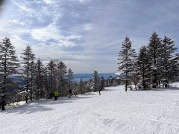 志賀高原焼額山スキー場に投稿された画像（2023/1/22）