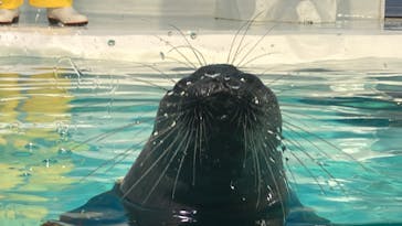 滋賀県立琵琶湖博物館に投稿された画像（2023/1/22）