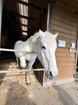 まかいの牧場に投稿された画像（2023/1/22）