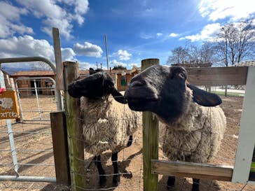 まかいの牧場に投稿された画像（2023/1/22）