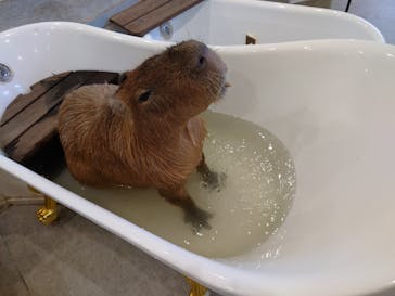 アニタッチみなとみらいに投稿された画像（2023/1/22）