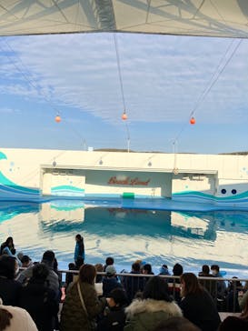 南知多ビーチランド＆南知多おもちゃ王国に投稿された画像（2023/1/22）