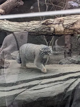 神戸どうぶつ王国に投稿された画像（2023/1/22）